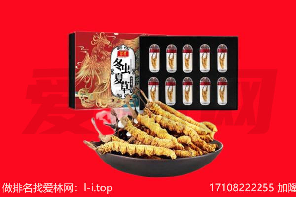 喀什麦盖提县回收虫草.jpg
